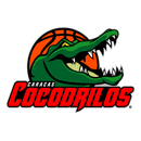 Cocodrilos