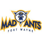 Fort Wayne Mad Ants