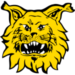  Ilves U-20